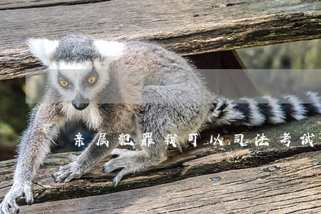 亲属犯罪我可以司法考试