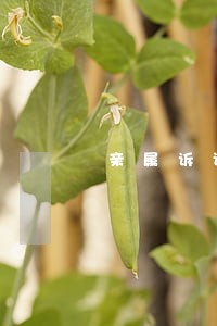 亲属诉讼代理推荐 亲属诉讼代理推荐