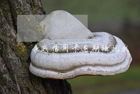 亲戚信用卡逾期骚扰我 亲戚信用卡逾期骚扰我