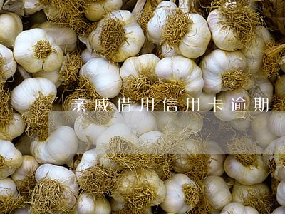 亲戚借用信用卡逾期 亲戚借用信用卡逾期