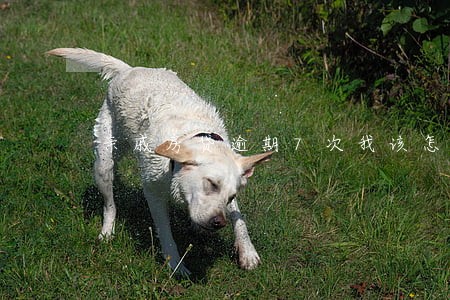 亲戚房贷逾期7次我该怎么办 亲戚房贷逾期7次我该怎么办