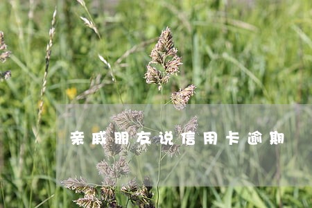 亲戚朋友说信用卡逾期 亲戚朋友说信用卡逾期