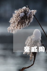 亲戚用身份证办信用卡逾期 亲戚用身份证办信用卡逾期