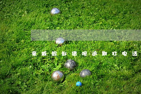 亲戚蚂蚁借呗逾期打电话给我 亲戚蚂蚁借呗逾期打电话给我