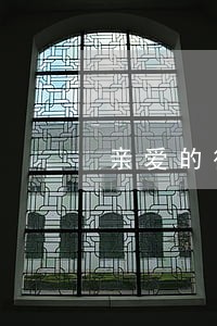 亲爱的律师太太章节列表在线试读 亲爱的律师太太章节列表在线试读