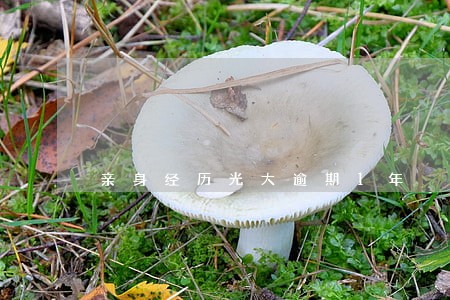 亲身经历光大逾期1年 亲身经历光大逾期1年