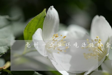 亳州一企业环境违法被查 亳州一企业环境违法被查