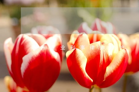 亳州专业刑事律师辩护 亳州专业刑事律师辩护