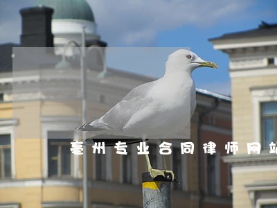 亳州专业合同律师网站