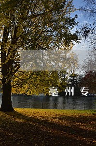 亳州专业房产律师收费 亳州专业房产律师收费