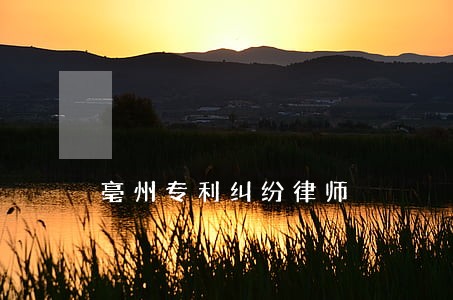 亳州专利纠纷律师 亳州专利纠纷律师