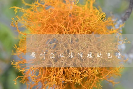 亳州企业法律援助电话 亳州企业法律援助电话