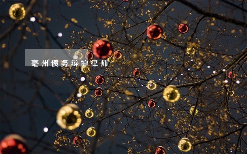 亳州债务辩护律师 亳州债务辩护律师