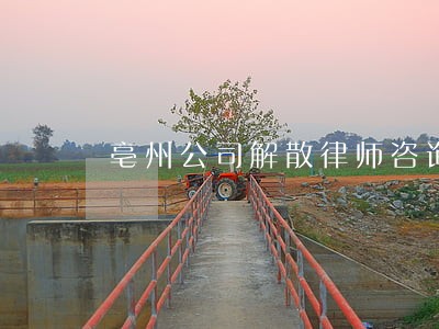 亳州公司解散律师咨询电话 亳州公司解散律师咨询电话