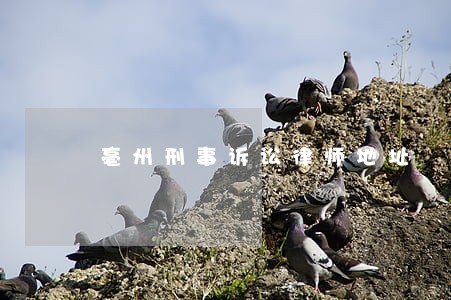 亳州刑事诉讼律师地址
