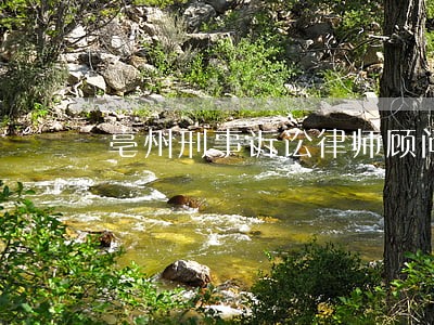 亳州刑事诉讼律师顾问排行 亳州刑事诉讼律师顾问排行
