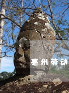 亳州劳动纠纷请一个律师价格表 亳州劳动纠纷请一个律师价格表