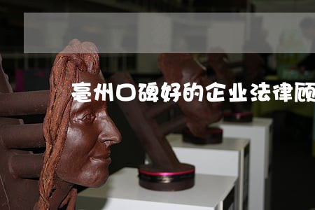 亳州口碑好的企业法律顾问事务所 亳州口碑好的企业法律顾问事务所