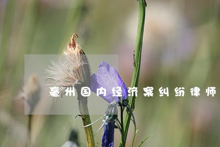 亳州国内经济案纠纷律师怎么整