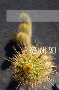 亳州如何申请法律援助 亳州如何申请法律援助