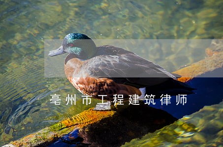 亳州市工程建筑律师 亳州市工程建筑律师