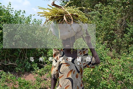 亳州市法律援助
