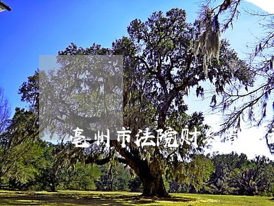 亳州市法院财务管理面试分数线 亳州市法院财务管理面试分数线