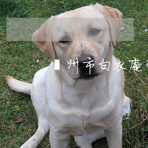 亳州市白衣庵律师院