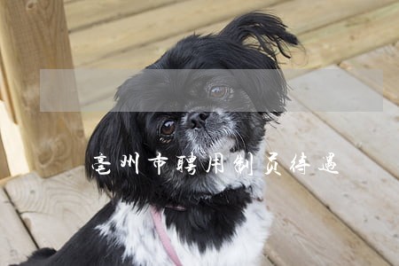 亳州市聘用制员待遇