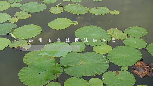 亳州市谯城区法院拍卖 亳州市谯城区法院拍卖