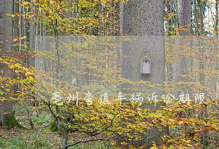 亳州弯道车祸诉讼期限 亳州弯道车祸诉讼期限