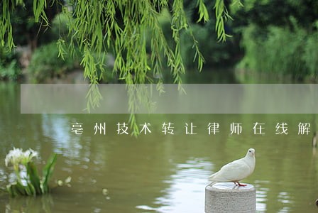 亳州技术转让律师在线解答 亳州技术转让律师在线解答