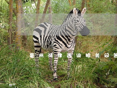 亳州法律咨询相关问答汇总 亳州法律咨询相关问答汇总