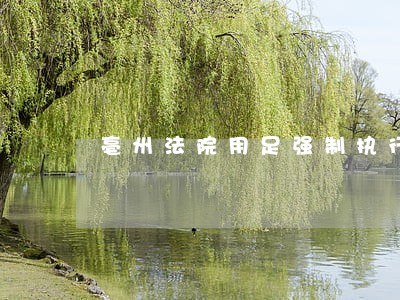 亳州法院用足强制执行措施 亳州法院用足强制执行措施