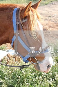 亳州谯城一建材企业环境违法被查 亳州谯城一建材企业环境违法被查