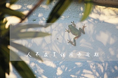 人不在了信用卡逾期