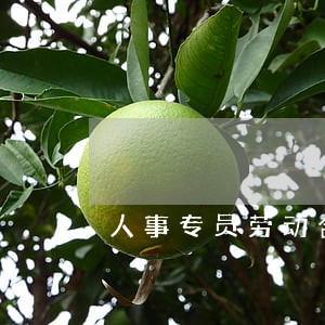 人事专员劳动合同法 人事专员劳动合同法