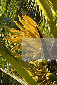 人事争议不属于法院受理范围 人事争议不属于法院受理范围