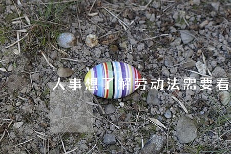 人事想了解劳动法需要看什么书