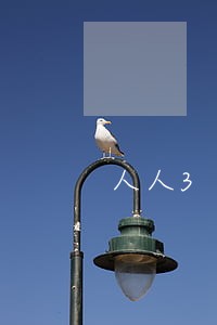 人人3万无视正在逾期2020 人人3万无视正在逾期2020