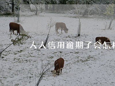 人人信用逾期了会怎样 人人信用逾期了会怎样