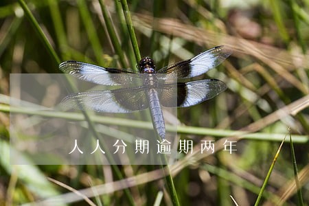 人人分期逾期两年 人人分期逾期两年