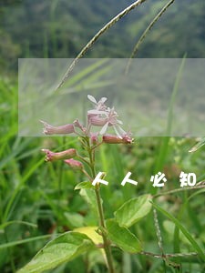 人人必知的民法典 人人必知的民法典
