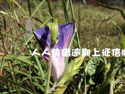 人人快借逾期上征信嘛 人人快借逾期上征信嘛