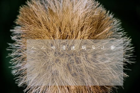人人快借逾期后还款 人人快借逾期后还款