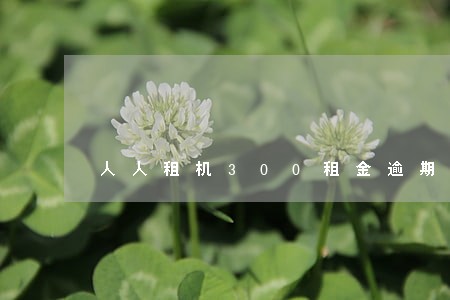 人人租机300租金逾期一个星期 人人租机300租金逾期一个星期
