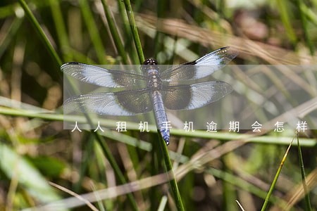 人人租机手机逾期会怎样 人人租机手机逾期会怎样