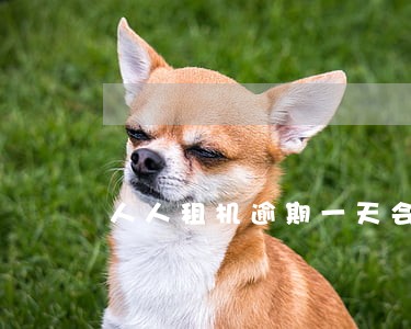 人人租机逾期一天会锁机吗 人人租机逾期一天会锁机吗