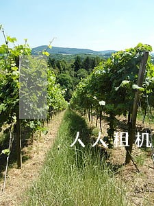 人人租机逾期会不会冻结手机 人人租机逾期会不会冻结手机