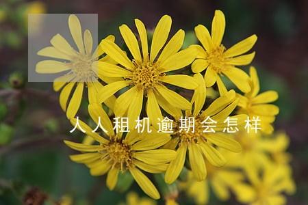 人人租机逾期会怎样 人人租机逾期会怎样
